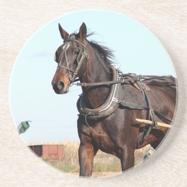 Rural Amish Horse and Buggy Coaster (Front)
