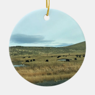 Rural Baker County, Oregon Ceramic Tree Decoration