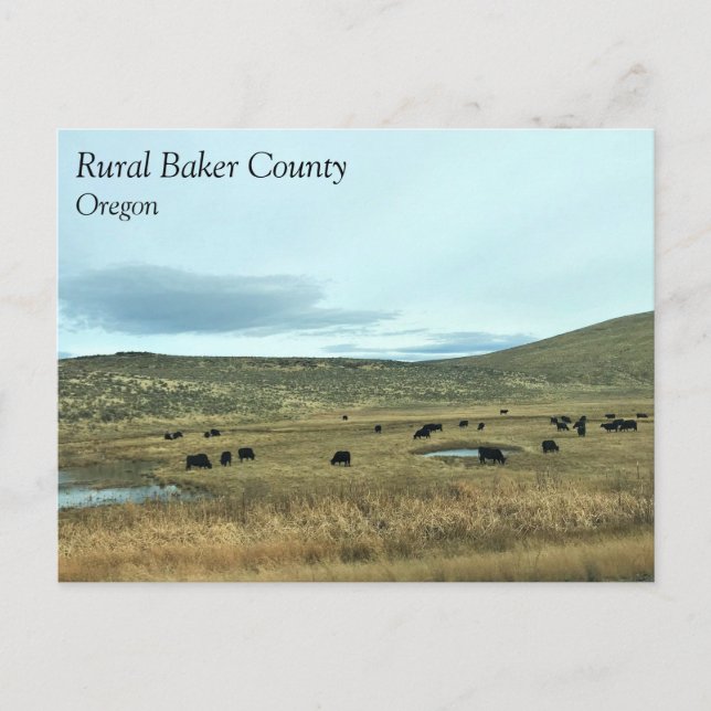 Rural Baker County, Oregon Postcard (Front)
