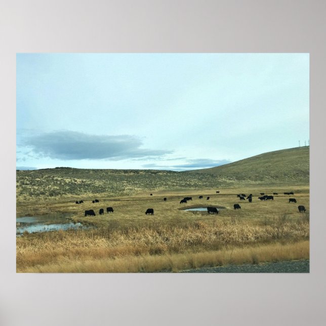 Rural Baker County, Oregon Poster (Front)