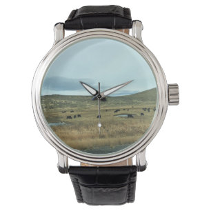 Rural Baker County, Oregon Watch