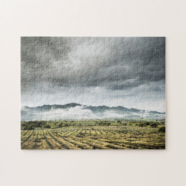 Rural Crop Fields Under Cloudy Sky Jigsaw Puzzle (Horizontal)