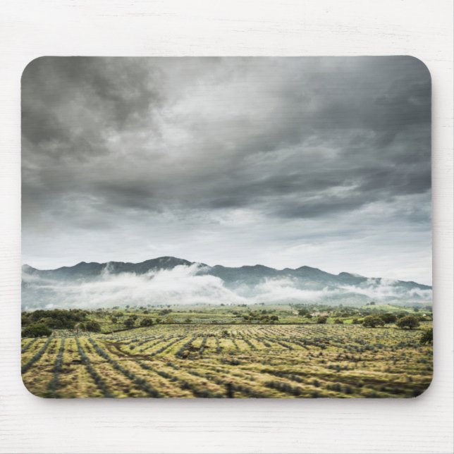 Rural Crop Fields Under Cloudy Sky Mouse Pad (Front)