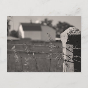 Rural Fence Post Postcard
