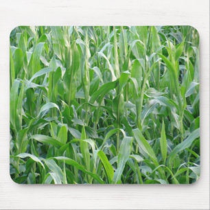 Rural Green Cornfield Background Mouse Pad