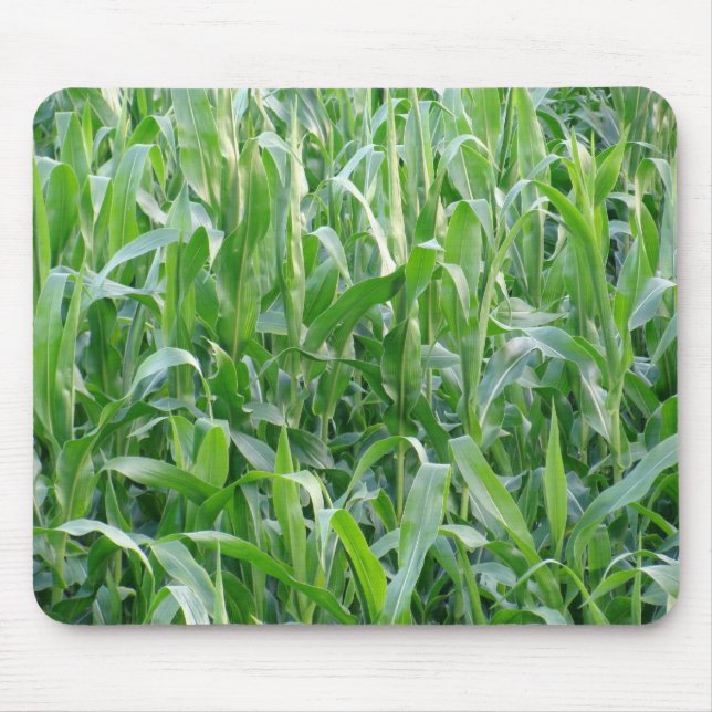 Rural Green Cornfield Background Photo Mouse Pad (Front)