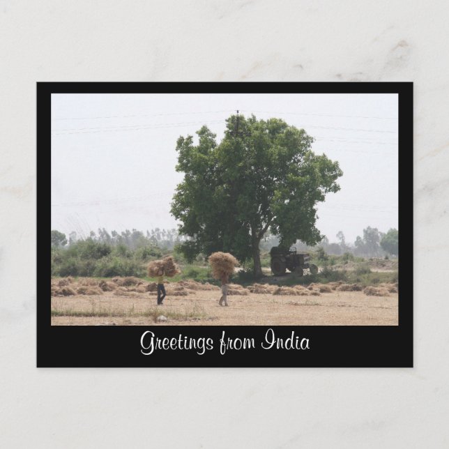 rural india postcard (Front)