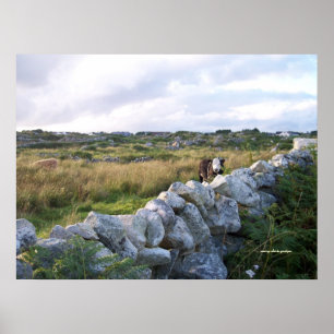Rural Ireland Poster