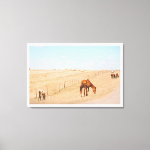 Rural Landscape Wild Horses Fields Canvas Print