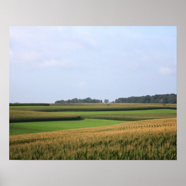 Rural Midwest Farm Field Landscape Color 16x20 Poster (Front)