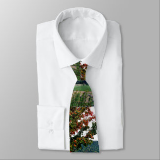 RURAL NEW YORK STATE tie