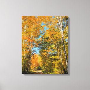 Rural Road Autumn Colors New Hampshire Canvas Print