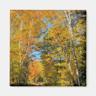 Rural Road Autumn Colours New Hampshire Magnet