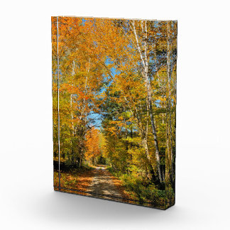 Rural Road Autumn Colours New Hampshire Photo Block