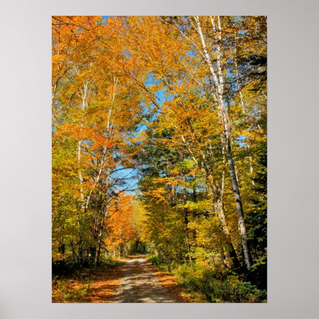Rural Road Autumn Colours New Hampshire Poster (Front)