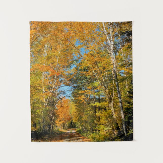 Rural Road Autumn Colours New Hampshire Tapestry (Front)