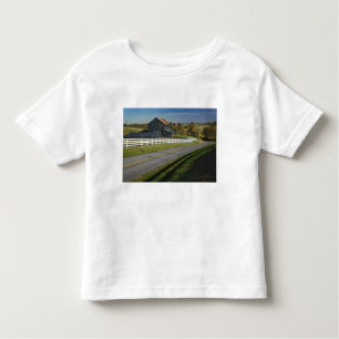Rural road through Bluegrass region of 2 Toddler T-Shirt