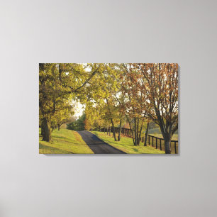 Rural road through Bluegrass region of Kentucky 2 Canvas Print