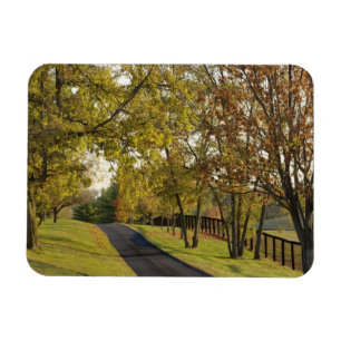 Rural road through Bluegrass region of Kentucky 2 Magnet