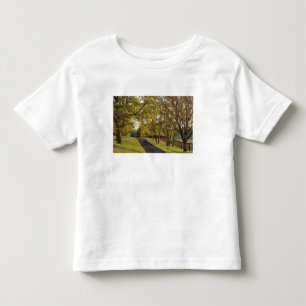 Rural road through Bluegrass region of Kentucky 2 Toddler T-Shirt