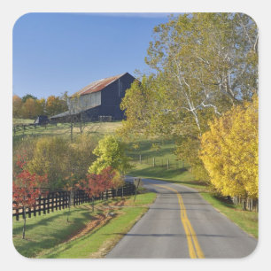 Rural road through Bluegrass region of Kentucky Square Sticker