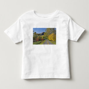 Rural road through Bluegrass region of Kentucky Toddler T-Shirt