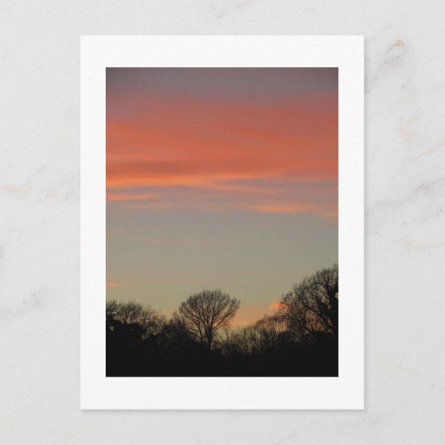 Rural Sunset (Winter): Cheshire, England Postcard (Front)