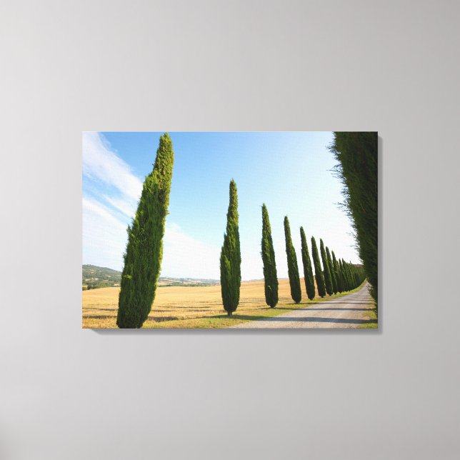 Rural Tree Lined Road, Tuscany Canvas Print (Front)