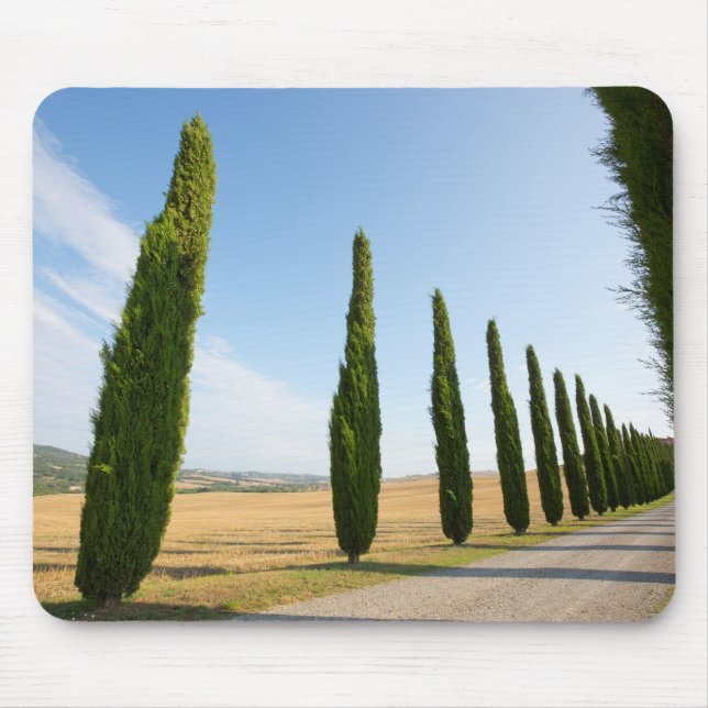 Rural Tree Lined Road, Tuscany Mouse Pad (Front)
