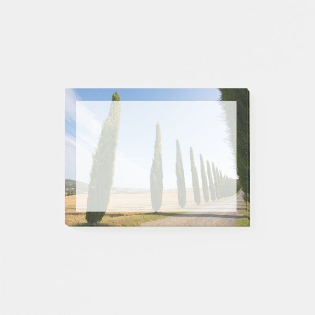 Rural Tree Lined Road, Tuscany Post-it Notes (Front)