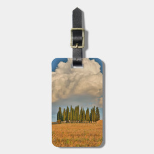 Rural Tuscany Cypress Trees Luggage Tag