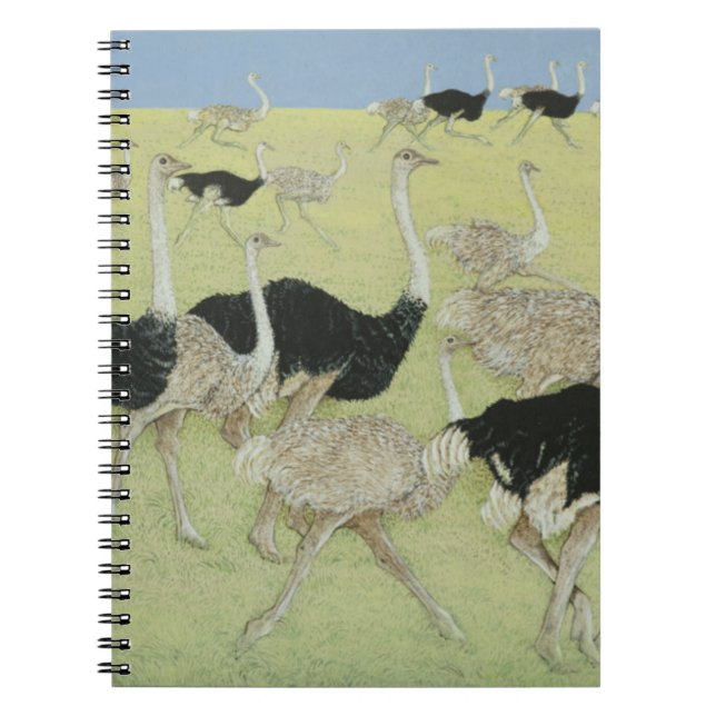 Rush hour 2 spiral notebook (Front)
