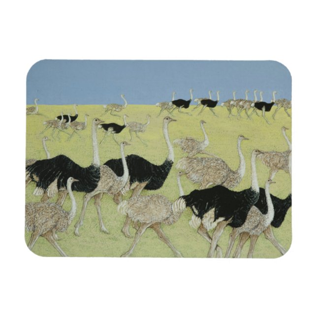 Rush hour magnet (Horizontal)