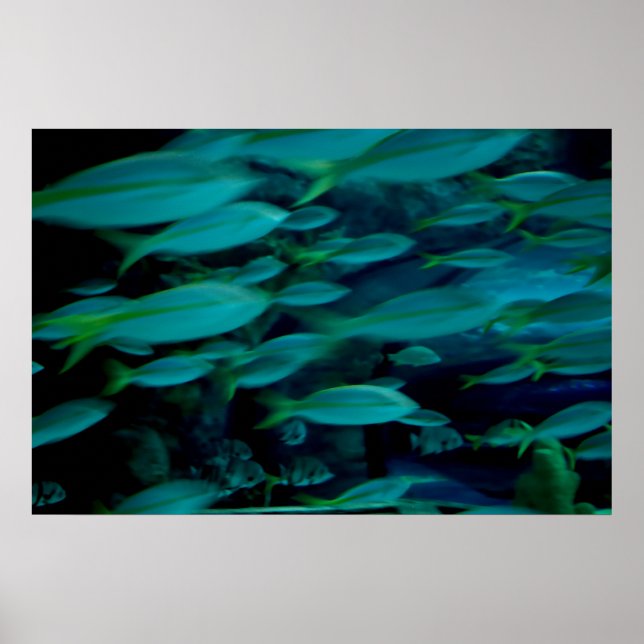 "Rush Hour" poster (Front)