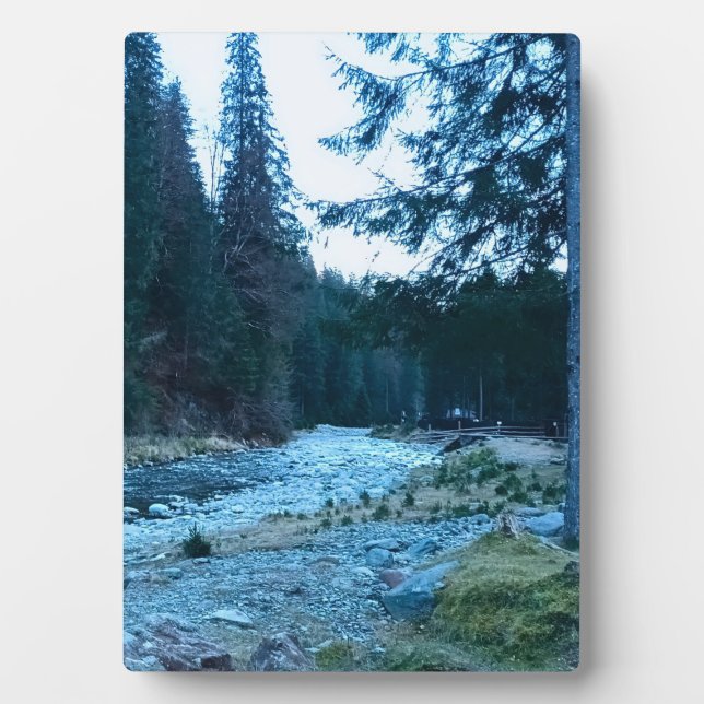 Rushing Mountain Stream – Wild Nature Romania Plaque (Front)