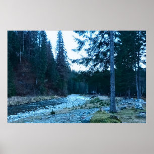 Rushing Mountain Stream – Wild Nature Romania Poster
