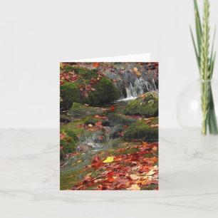 Rushing Water Card