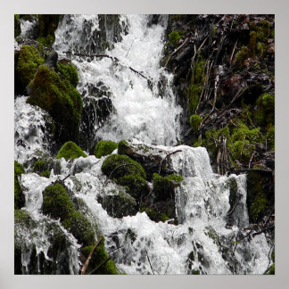 Rushing  waters...... poster