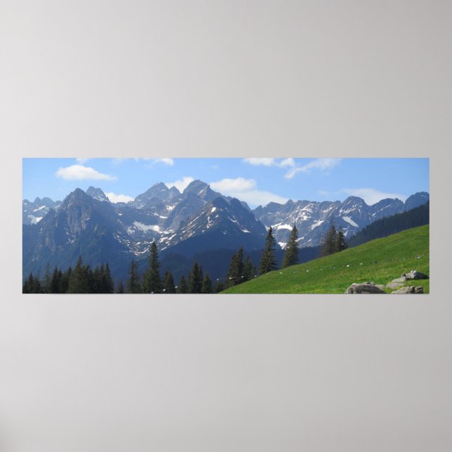 Rusinowa meadow Tatras Poster (Front)