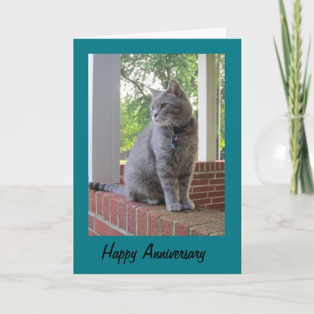 Russ The Cat Happy Anniversary Greeting Card (Front)