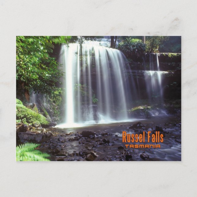 Russel Fall, Tasmania,Australia Postcard (Front)