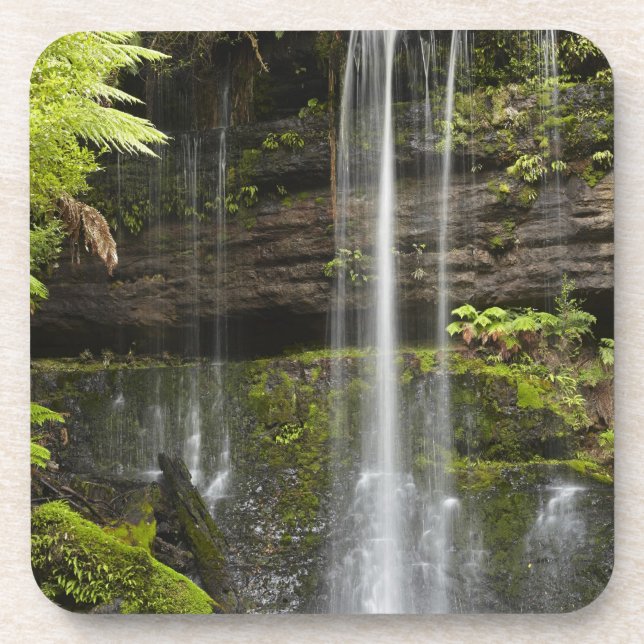 Russell Falls, Mount Field National Park, Coaster (Front)