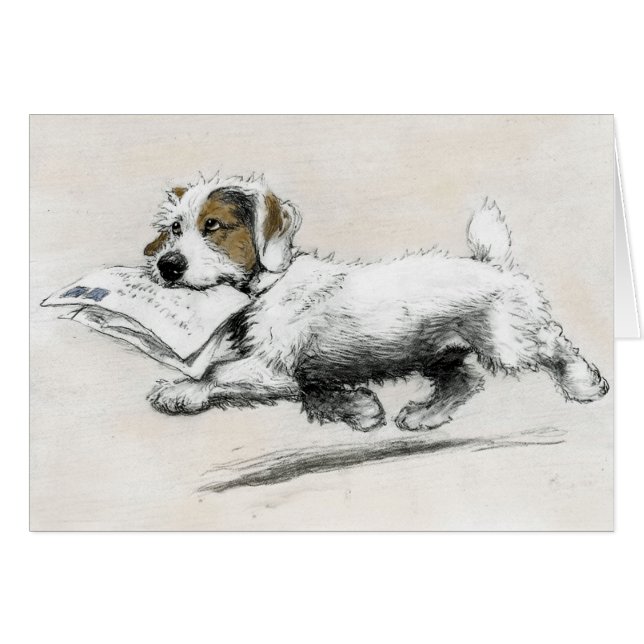 Russell Terrier delivers mail (Front Horizontal)