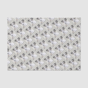 Russell Terrier Rough Painting - Original Dog Art Tissue Paper