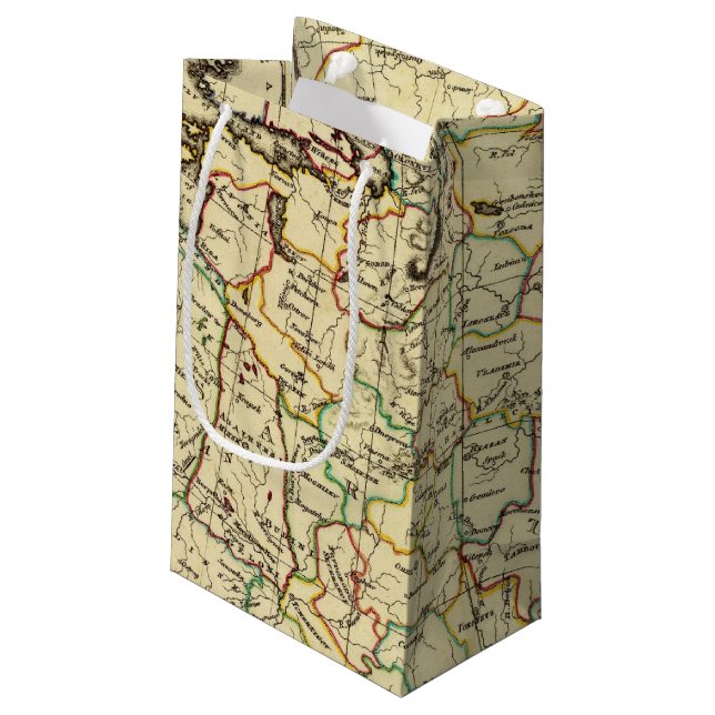 Russia in Europe with boundaries outlined Small Gift Bag (Back Angled)