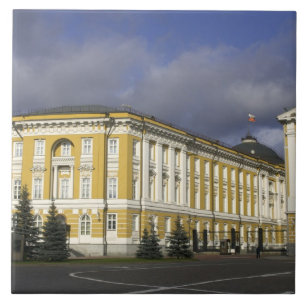 Russia, Moscow, Kremlin, Senate Palace, Tile