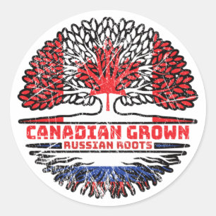 Russia Russian Canadian Canada Tree Roots Flag Classic Round Sticker