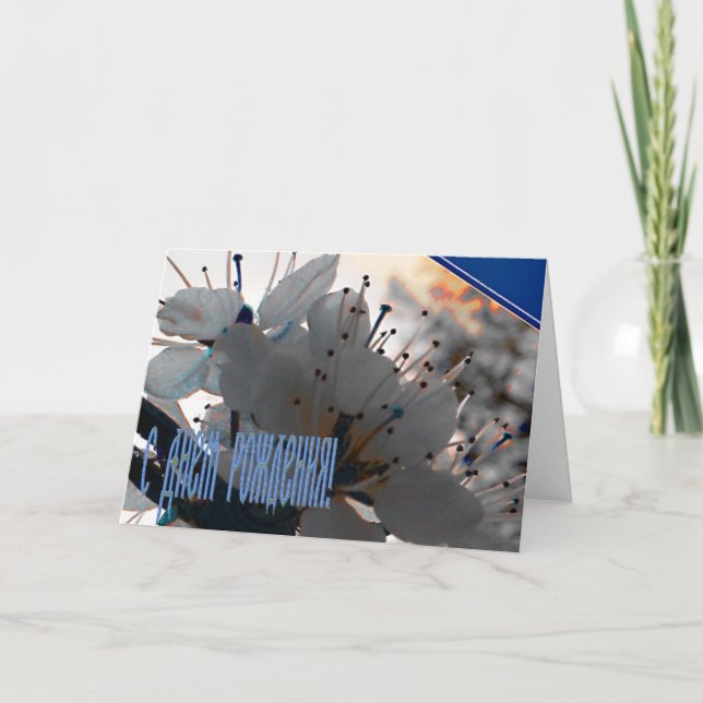 Russian Birthday card with Cherry Flowers (Front)