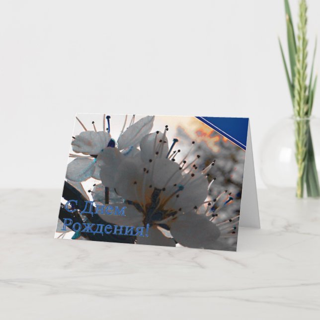 Russian Birthday card with Cherry Flowers (Front)