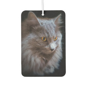 Russian Blue Breed Grey Grey Nebelung Cat Car Air Freshener